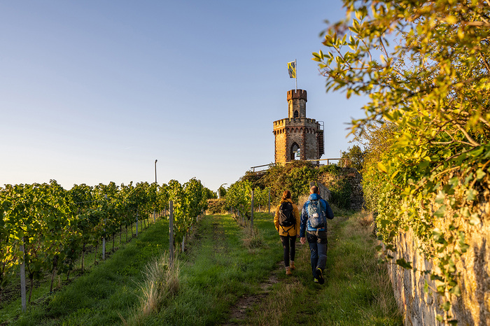 Wandern in der Pfalz